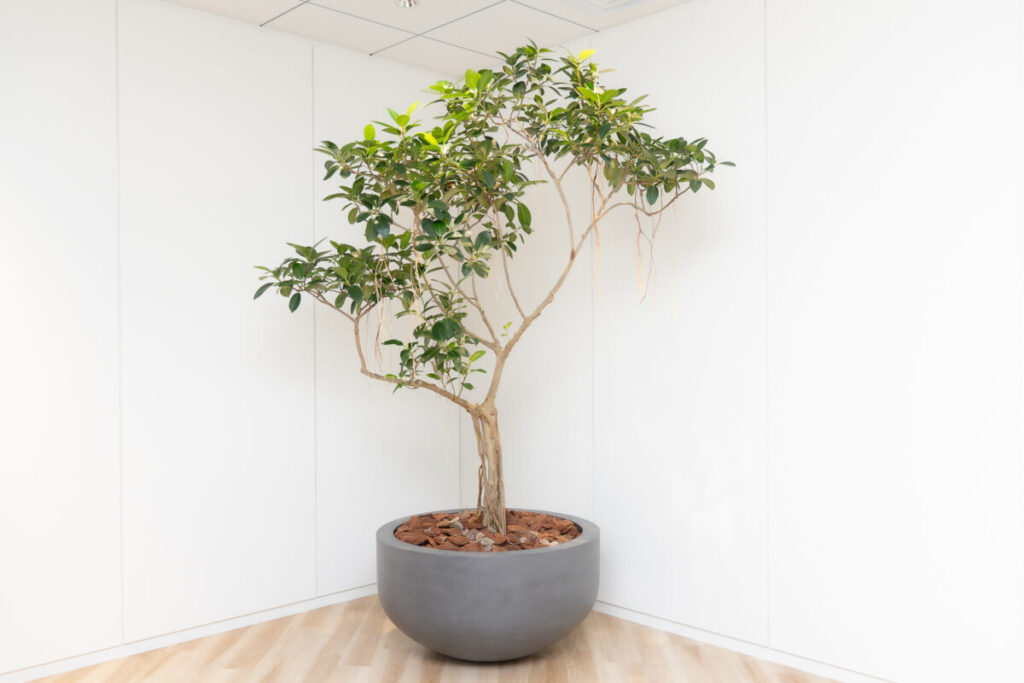 株式会社アルダグラム